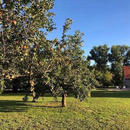 Auszeit Haus Am * Deetz