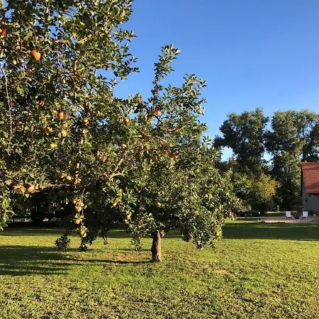 Apartamento Auszeit Haus Am Deetz