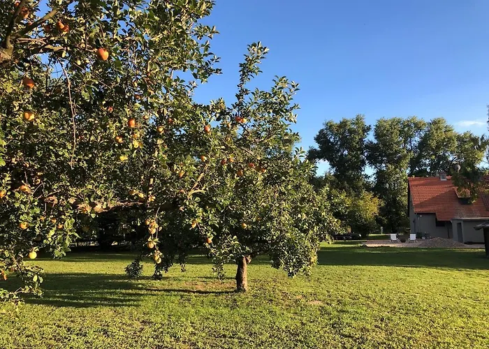 Apartamento Auszeit Haus Am Deetz